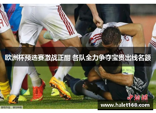 欧洲杯预选赛激战正酣 各队全力争夺宝贵出线名额 欧洲杯预选赛激战正酣 各队全力争夺宝贵出线名额