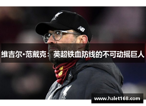 维吉尔·范戴克:英超铁血防线的不可动摇巨人 维吉尔·范戴克:英超铁血防线的不可动摇巨人