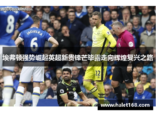 埃弗顿强势崛起英超新贵锋芒毕露走向辉煌复兴之路 埃弗顿强势崛起英超新贵锋芒毕露走向辉煌复兴之路